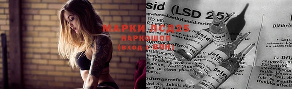 прущие грибы Мегион