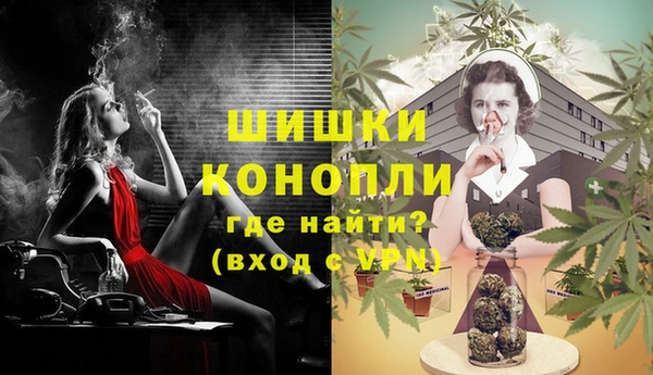 прущие грибы Мегион