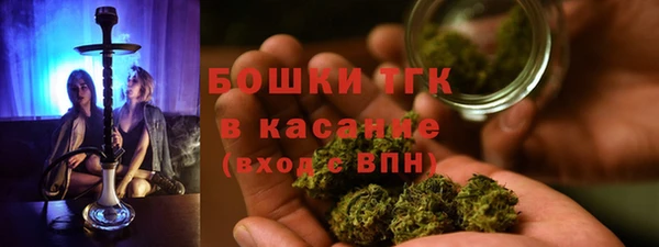 прущие грибы Мегион