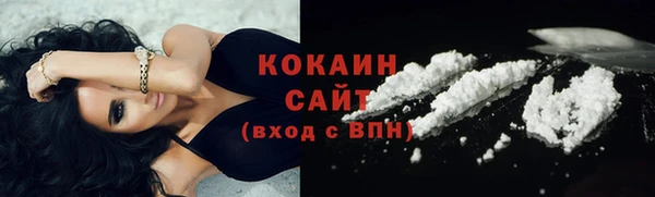 прущие грибы Мегион