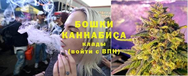 прущие грибы Мегион