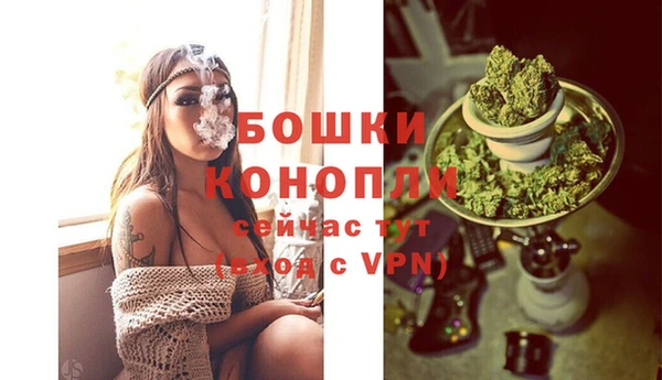 эйфоретик Магас
