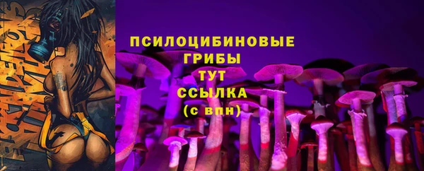 бошки Майский