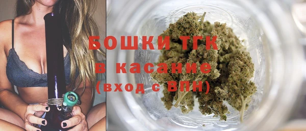 прущие грибы Мегион
